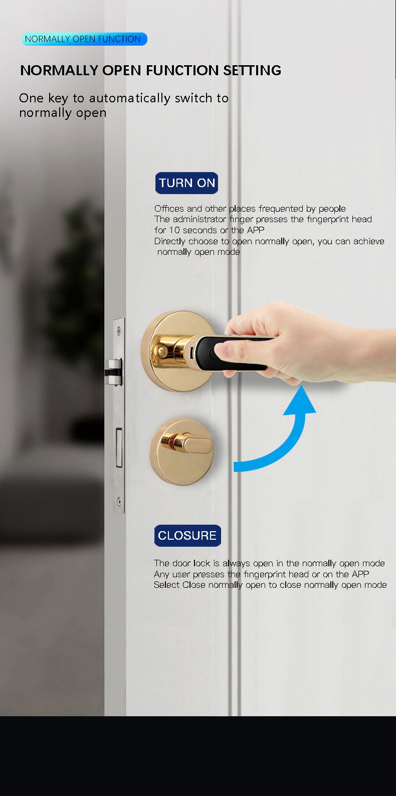 iSM06 Biometric Smart Lock - ISPEKTRUM Home & Garden