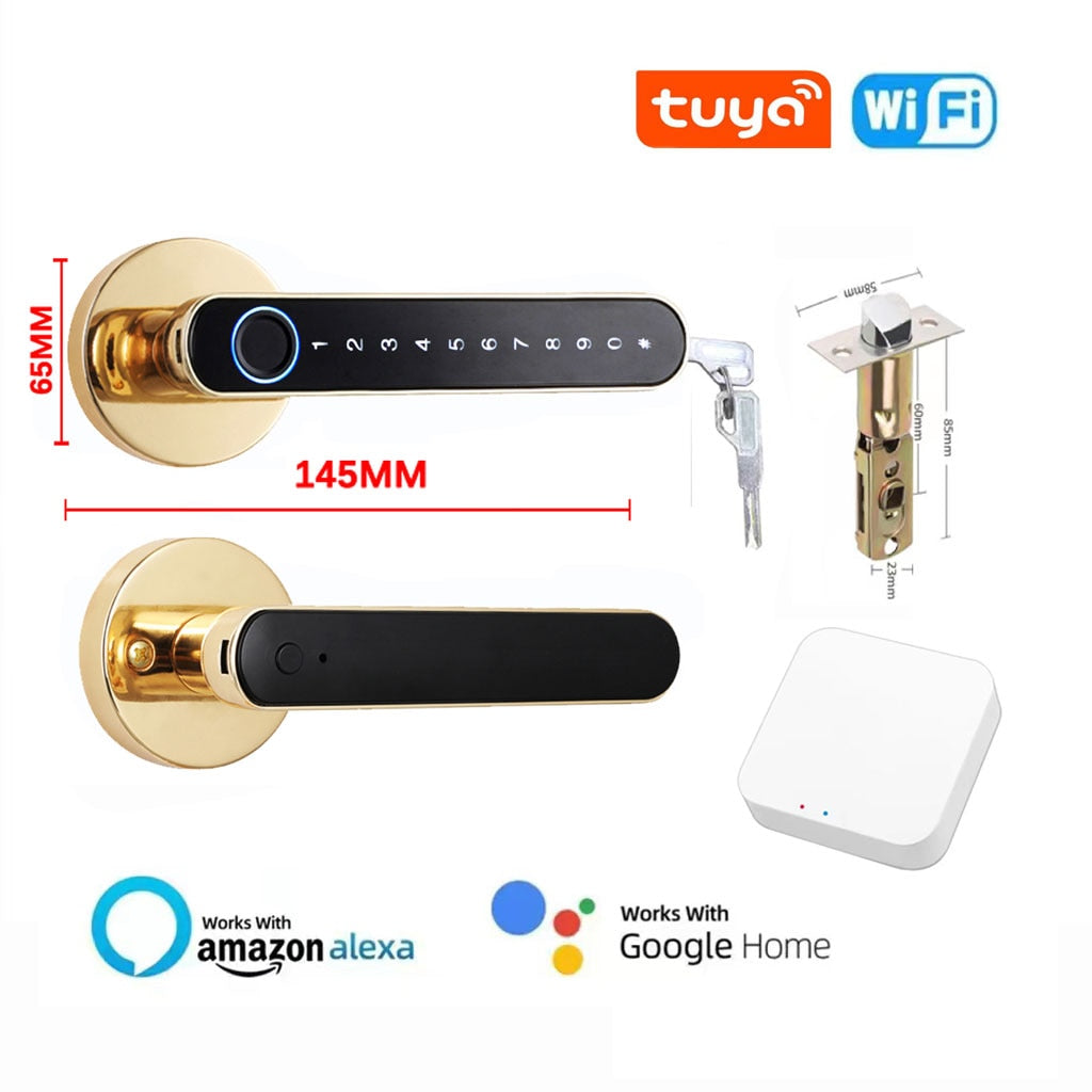 iSM06 Biometric Smart Lock - ISPEKTRUM Home & Garden