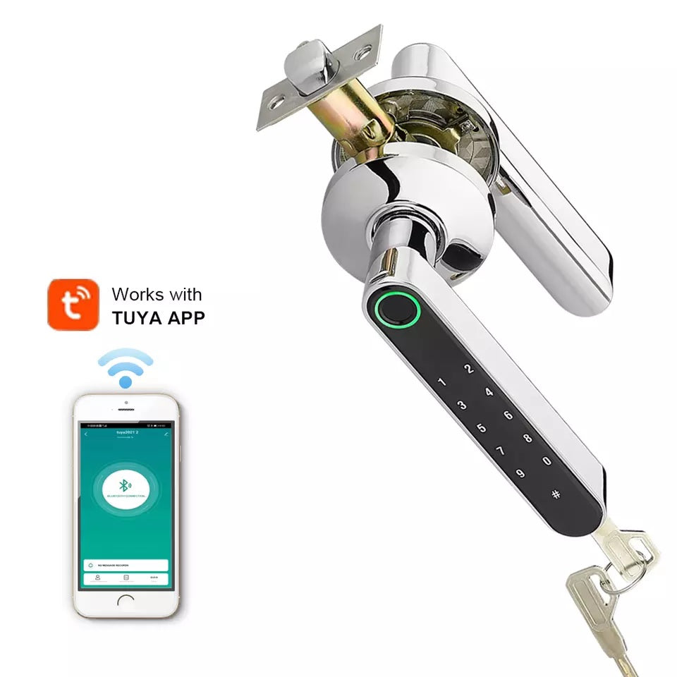 iSM06 Biometric Smart Lock - ISPEKTRUM Home & Garden